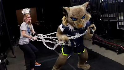 Video post by @lynxprowl on Twitter/X