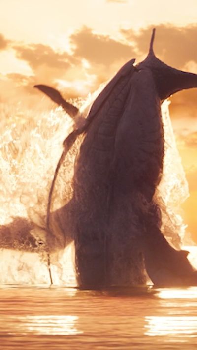 Video post by @avatar on Instagram