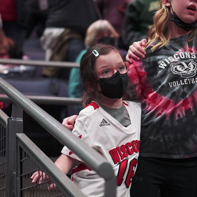 Video post by @badgervb on Twitter