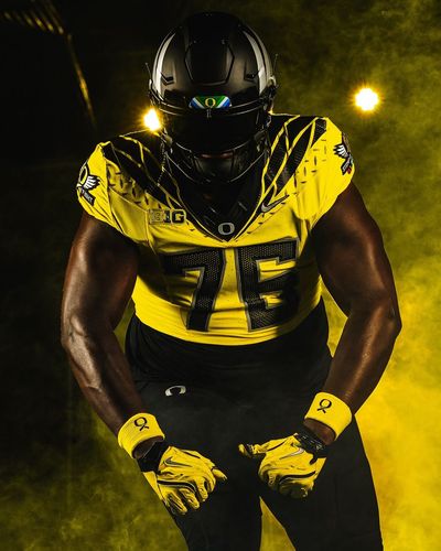 Image post by @goducks on Instagram