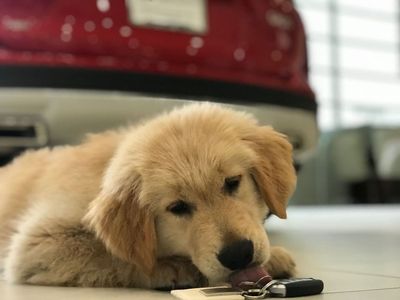 Image post by @infinitiofdenver on Instagram