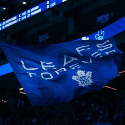 Video post by @mapleleafs on Twitter