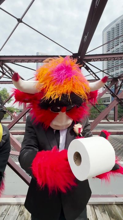 Video post by @bennythebull on TikTok