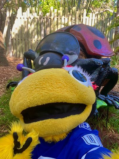 Image post by @ThunderBugTBL on Twitter