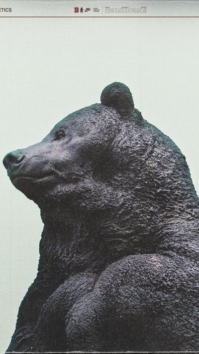 Video post by @brownu_bears on Instagram