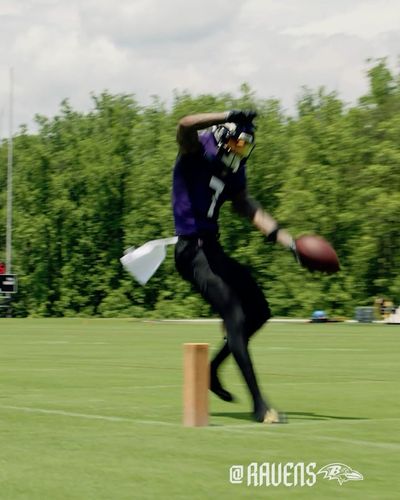 Video post by @ravens on Instagram