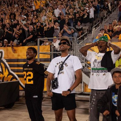 Image post by @hamiltontigercats on Instagram