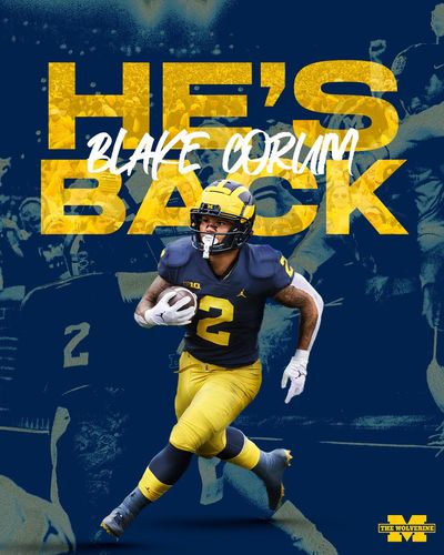 Image post by @TheWolverineOn3 on Twitter