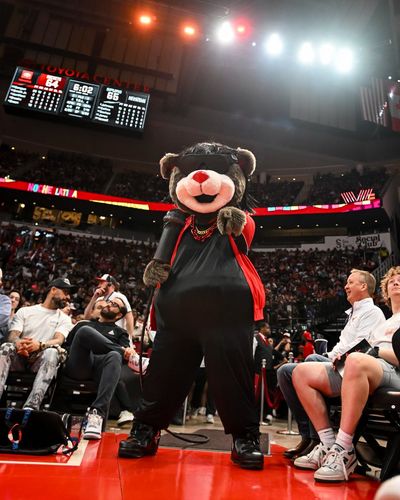 Image post by @clutchthebear on Twitter