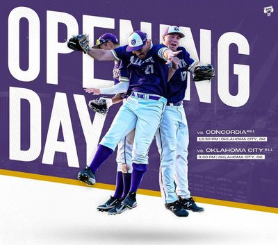 Image post by @bubruins_bsbl on Instagram