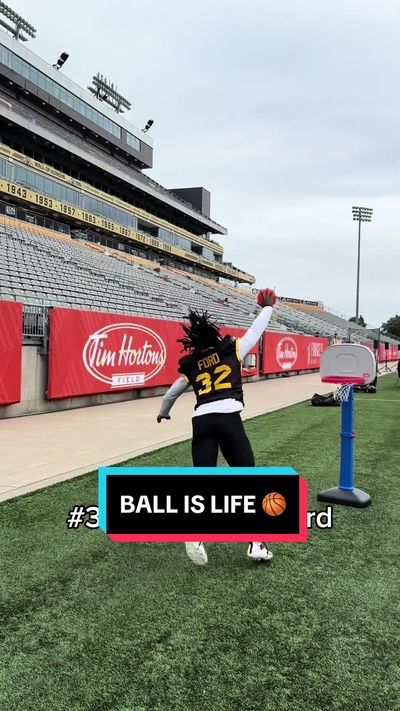 Video post by @hamiltonticats on TikTok