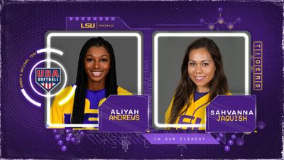 Image post by @LSUsoftball on Twitter