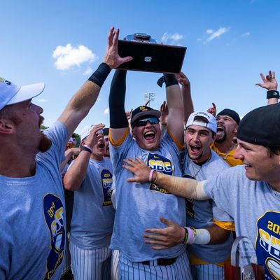 Image post by @sunbelt on Instagram