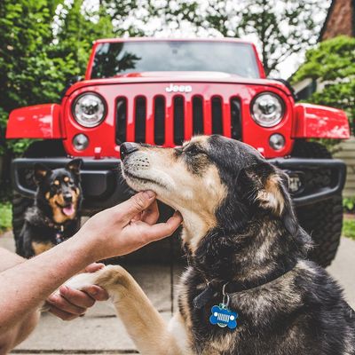 Image post by @jeep on Instagram