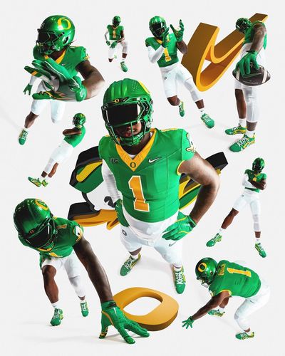 Image post by @goducks on Instagram
