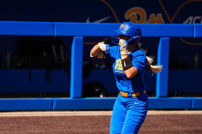 Image post by @Pitt_SB on Twitter