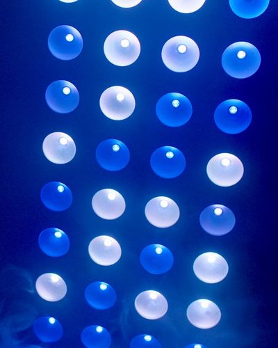 Video post by @Lions on Twitter