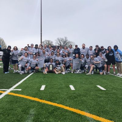 Image post by @saubees on Instagram