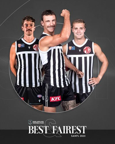 Image post by @PAFC on Twitter