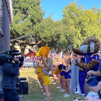 Image post by @lsumiketiger on Instagram