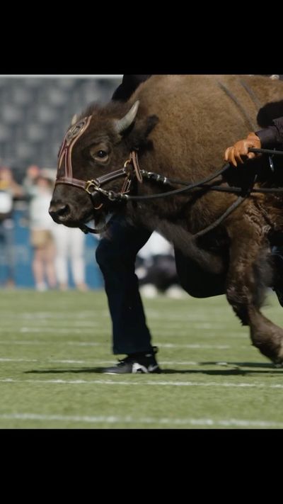 Video post by @cubuffsfootball on Instagram