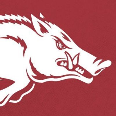 Arkansas Razorbacks 🐗