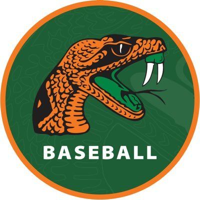 Florida A&M Baseball ⚾️