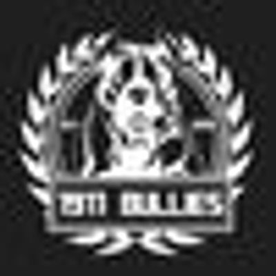 1911 Bullies