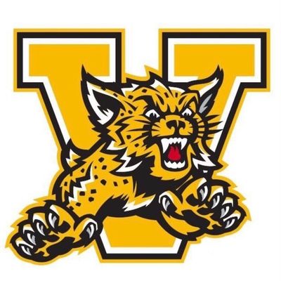 Valdosta Wildcat Football