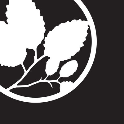 Alderwood Landscaping | Luxury Backyard Resorts