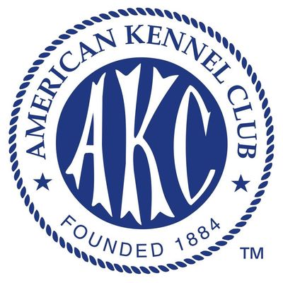 American Kennel Club