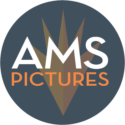 amspicturestv