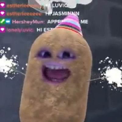 artisanpapaya