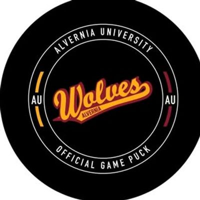 Alvernia Men’s AAU Ice Hockey