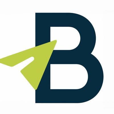 BlueInc Strategies, LLC
