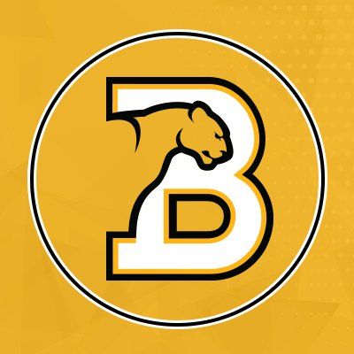 Birmingham-Southern Athletics