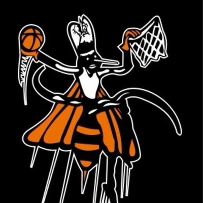 BTW Boys Basketball