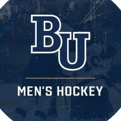 Bethel University Men's Hockey