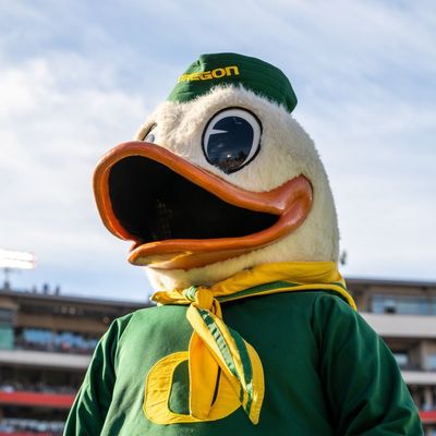 Call Me a Duck