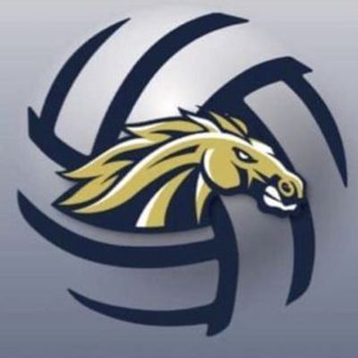 Casteel Women's Volleyball