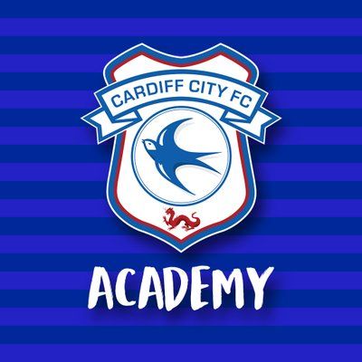 Cardiff City Academy