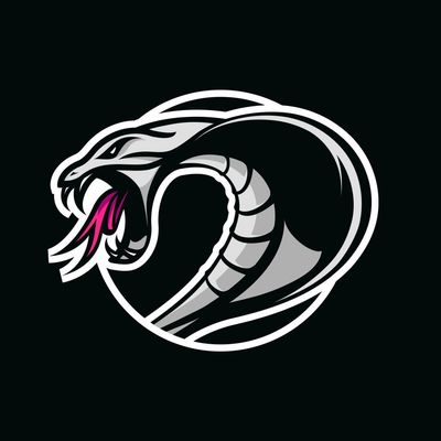 Cobras Basketball Club