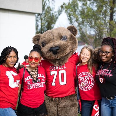 Cornell University SCL