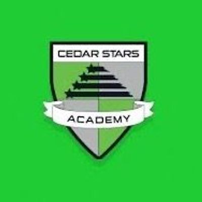 Cedar Stars Hudson Valley