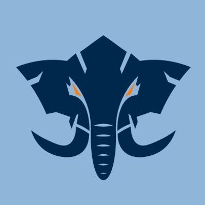 Titan Esports