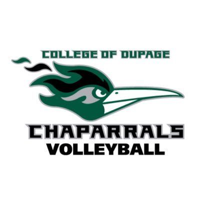DuPage Volleyball