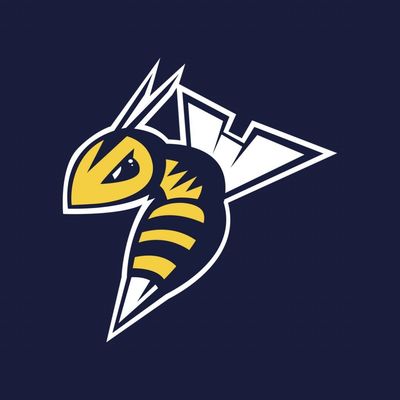 Edmonton Stingers Basketball