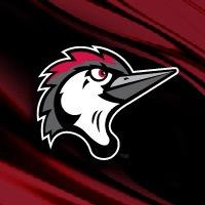 Fayetteville Woodpeckers