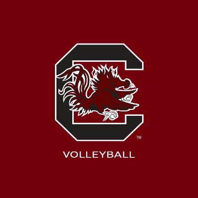 GamecockVolley