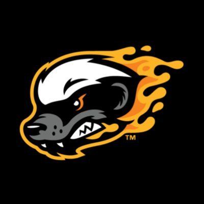 @GoHoneyHunters